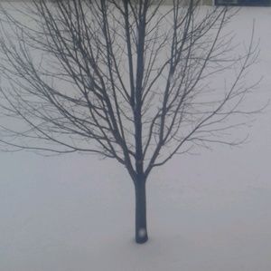 Meet your Posher, Roberta